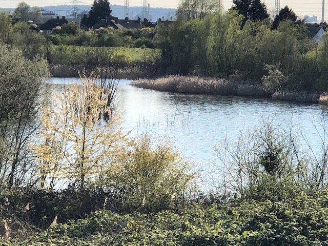 Bid Me Go Beyond Borders!