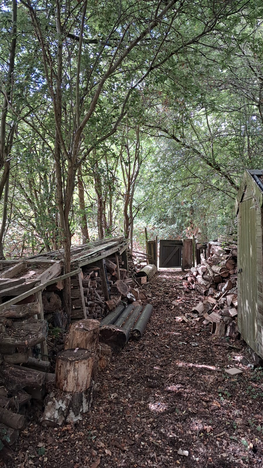 Do I Really Need it?