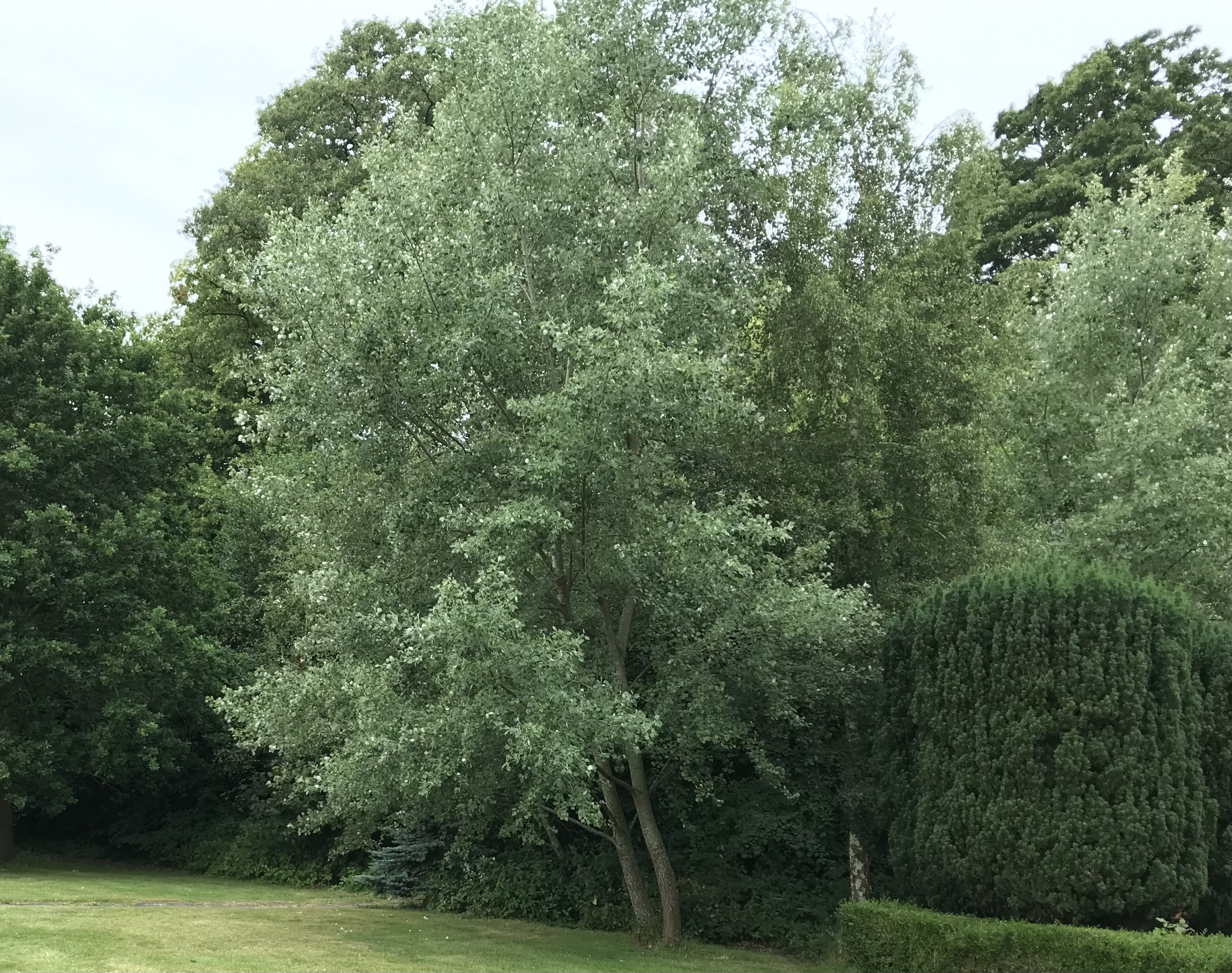 Financial Stewardship