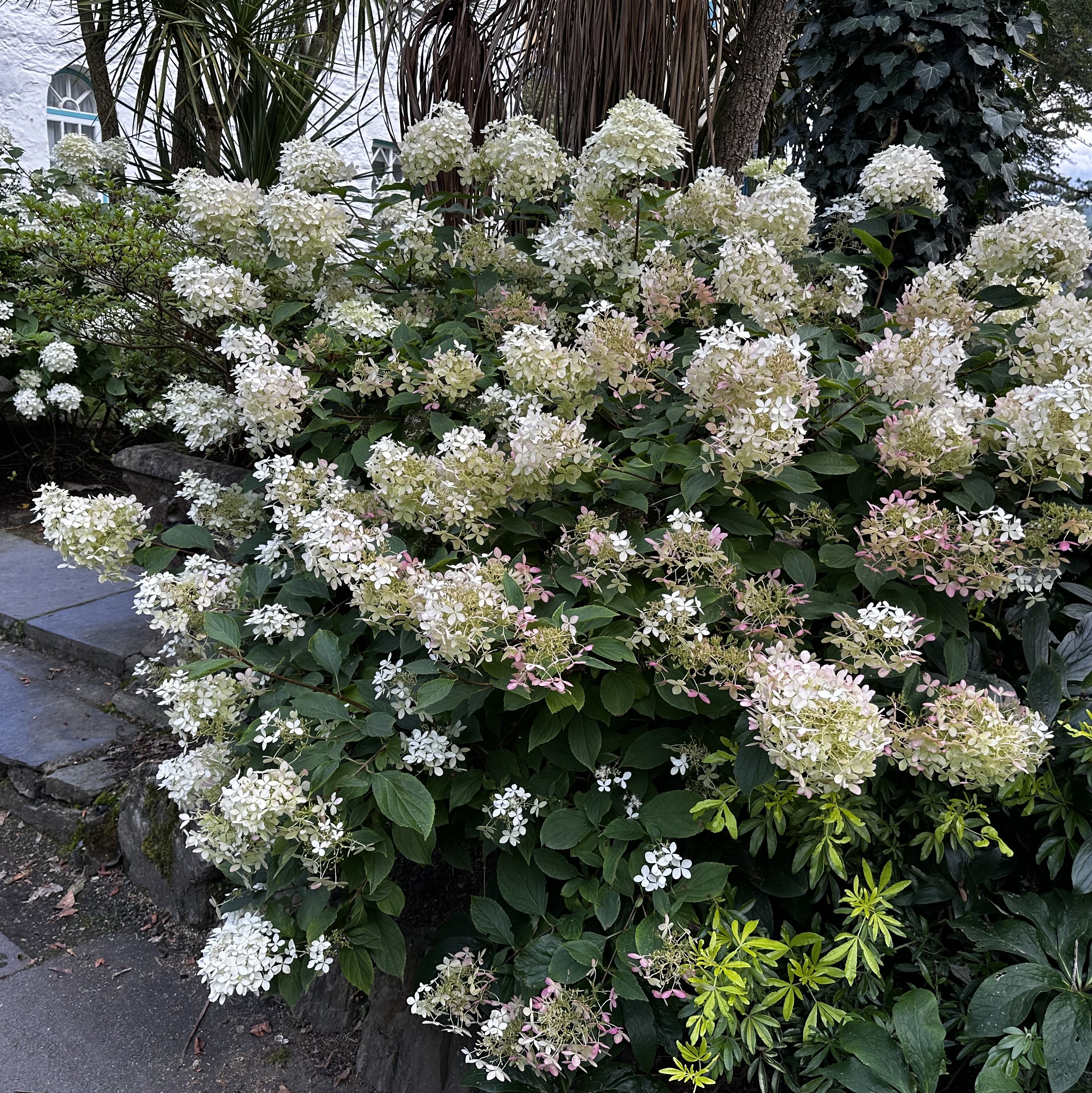 Godly Repentance: Maintaining the Purity of Our Spiritual Operating System