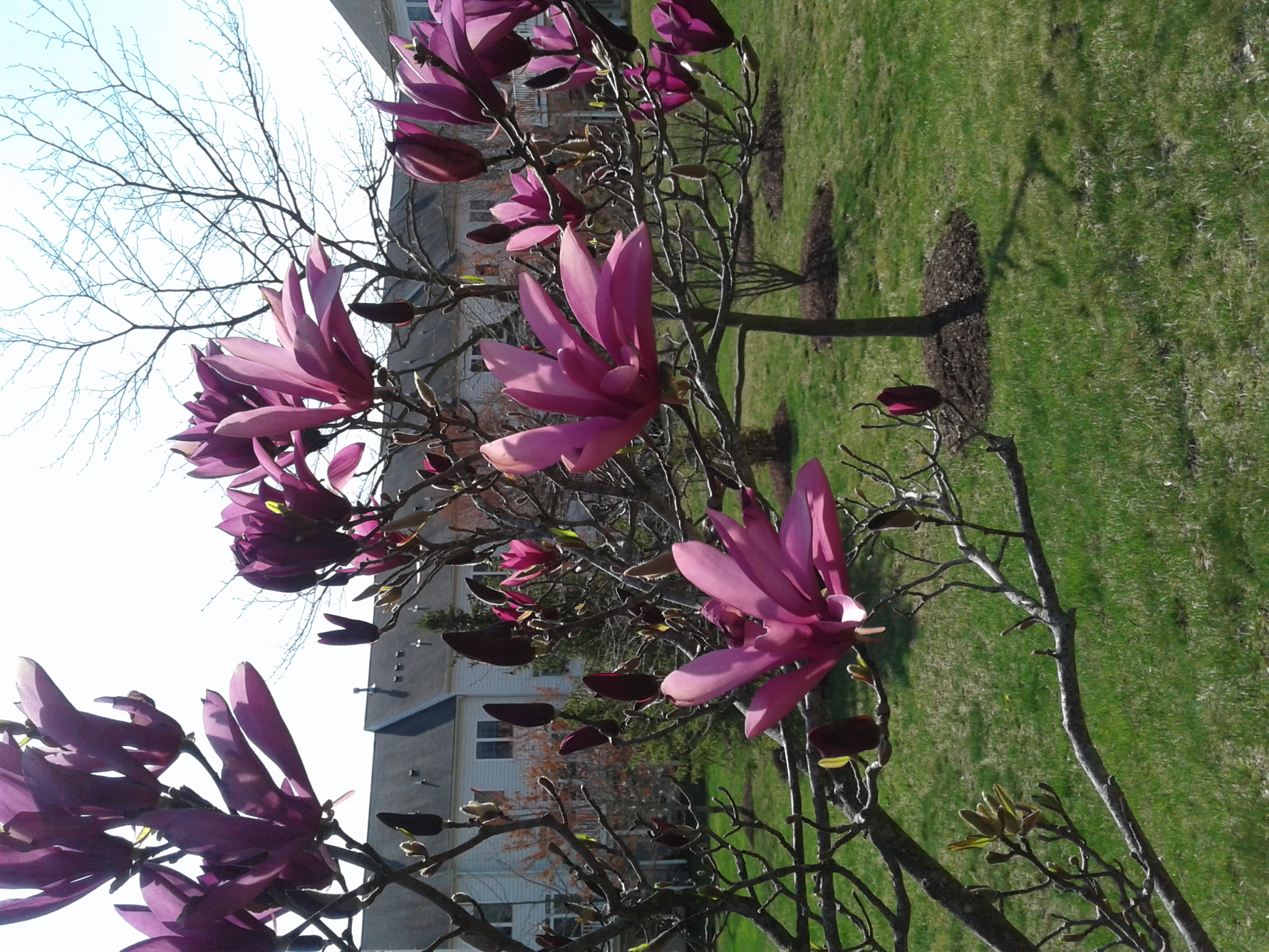 HOW DEEP THE FATHER'S LOVE FOR US