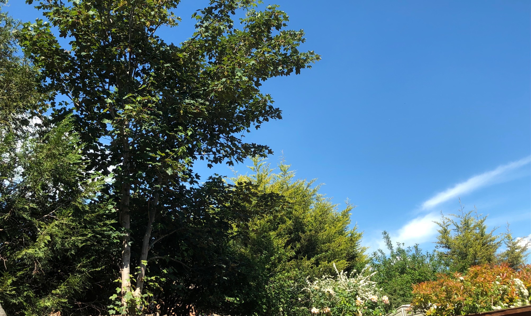 How do I have intimate relationship with God