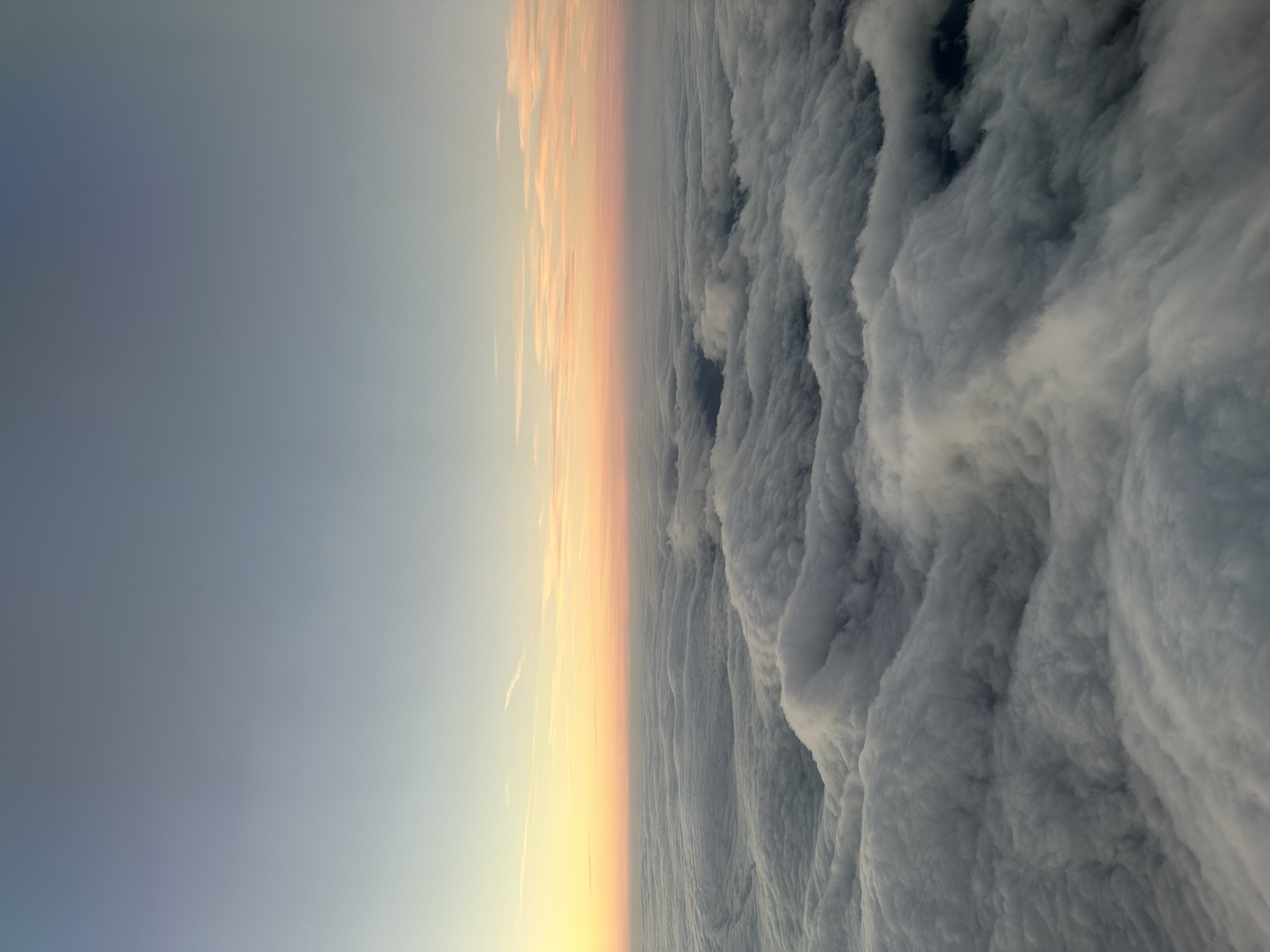 Magnify the Lord with me