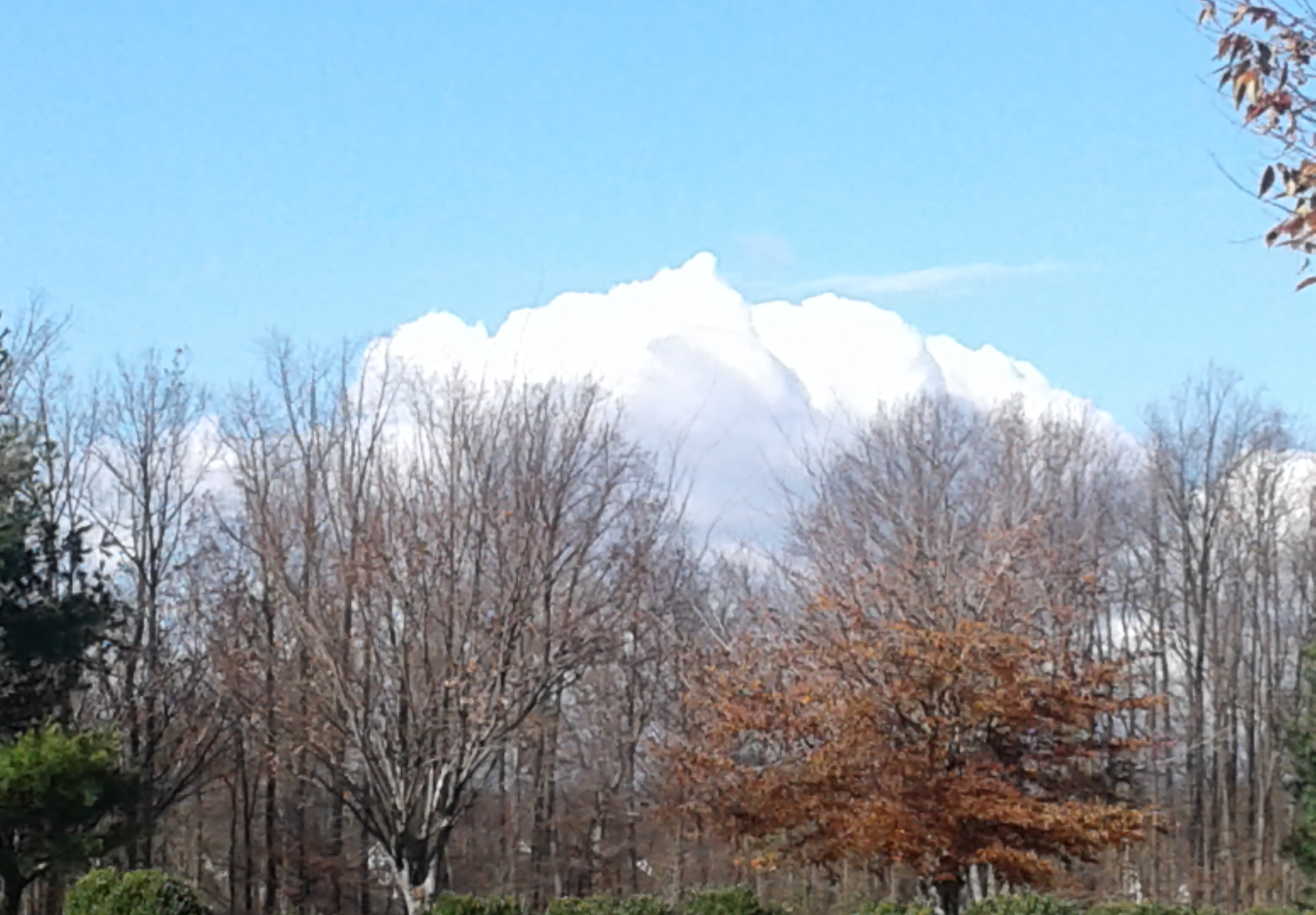 Our Wilderness Experience