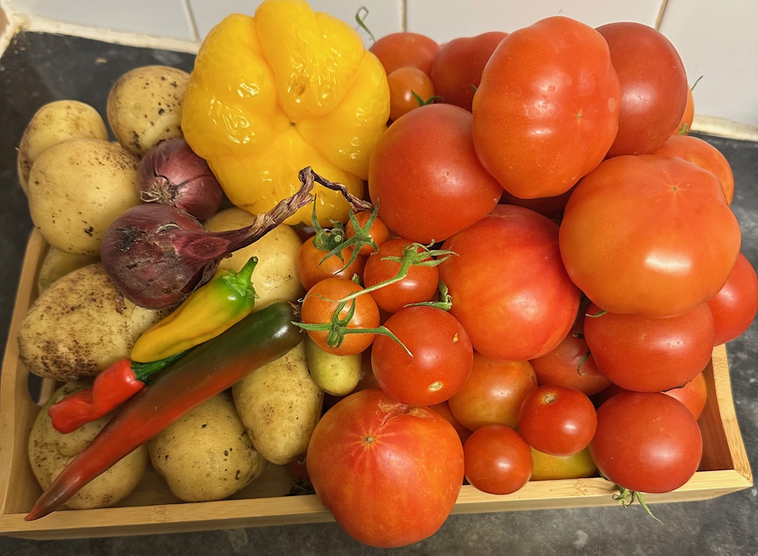 Processing the Harvest