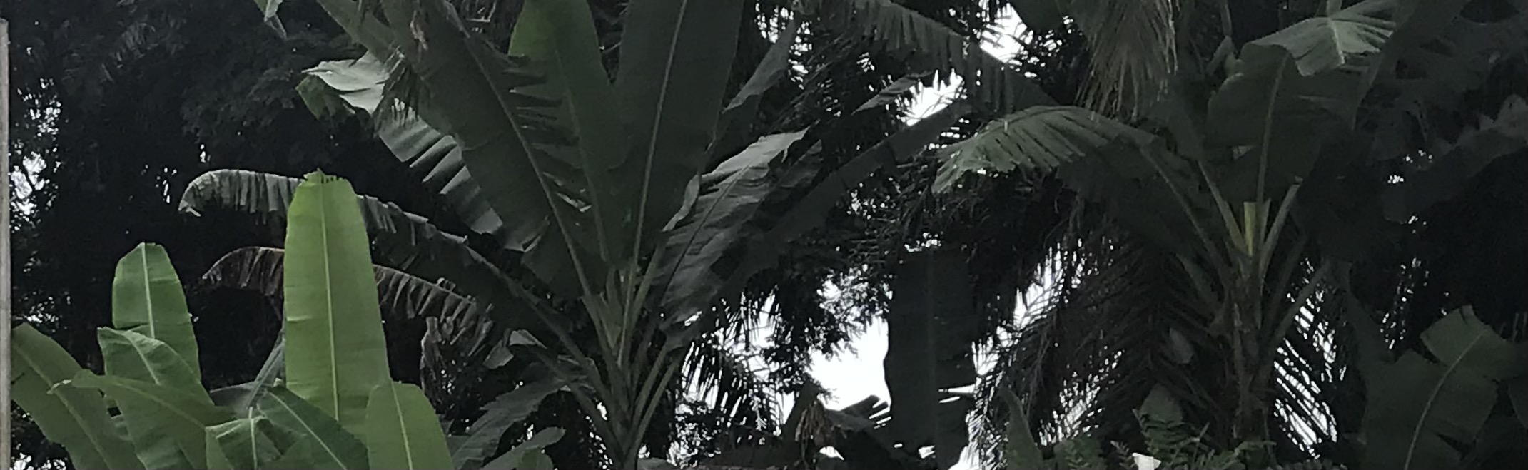 Servants and Masters