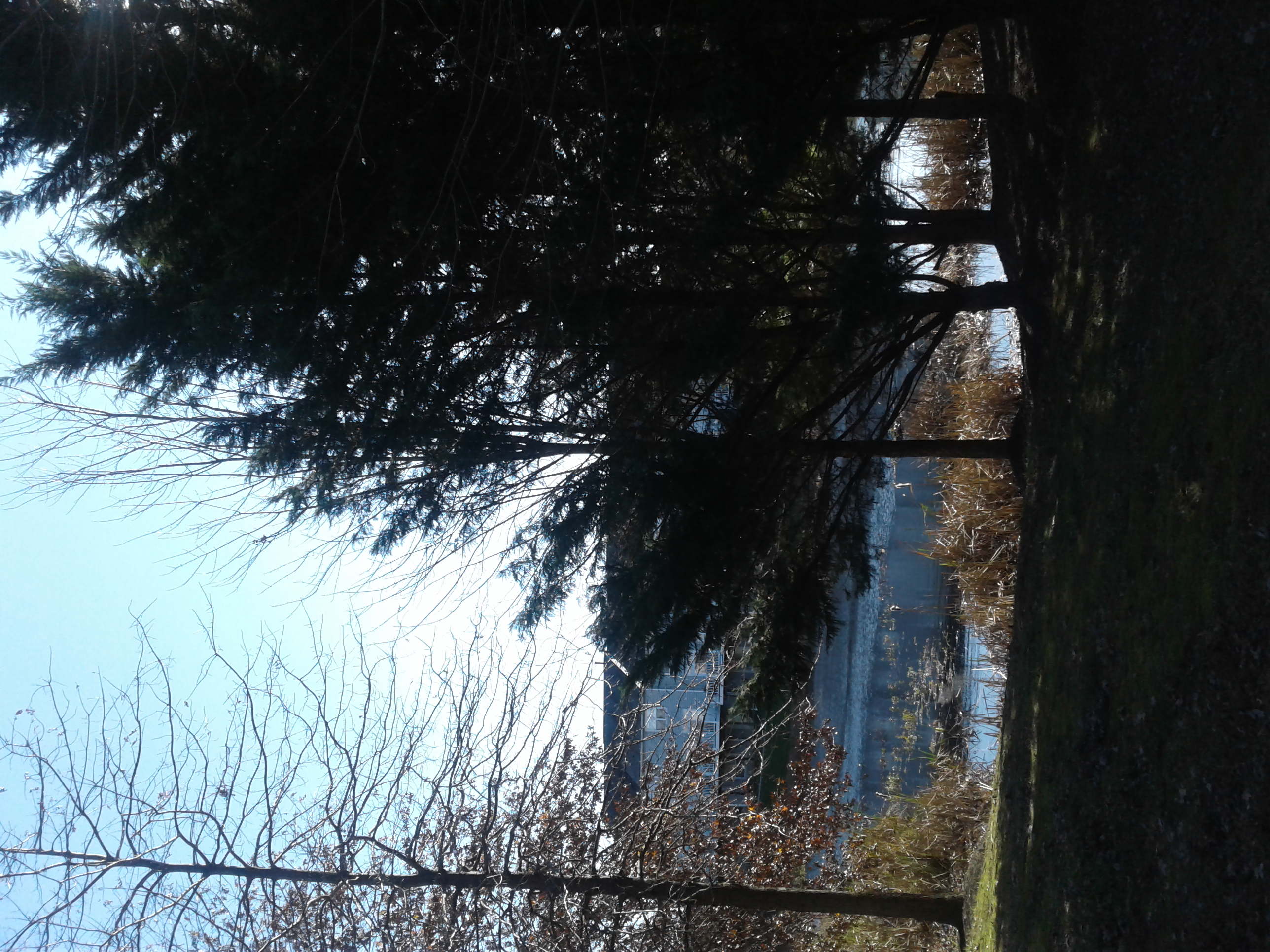 Who is the Greatest?