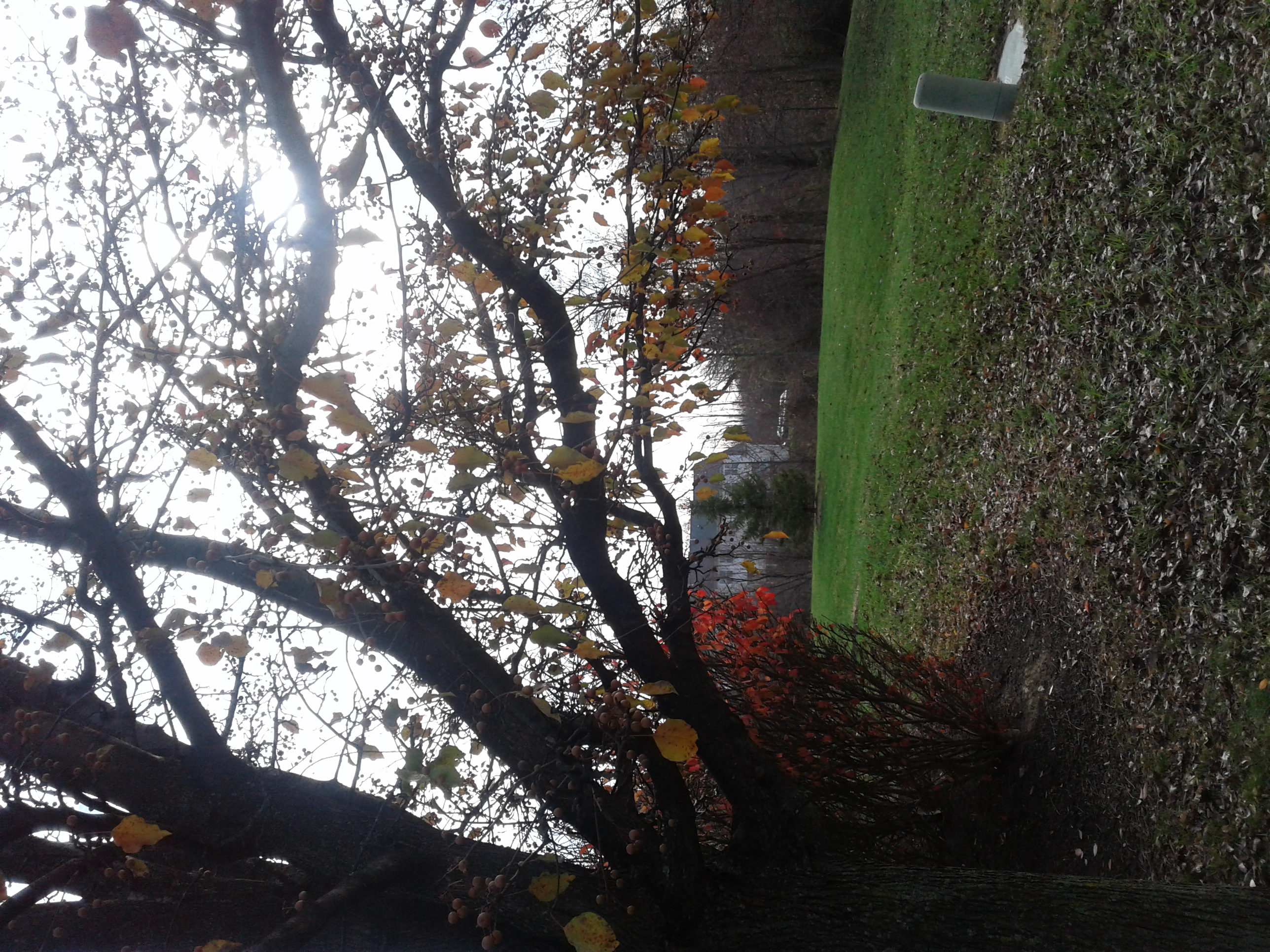 Why Promises Fail Part 1