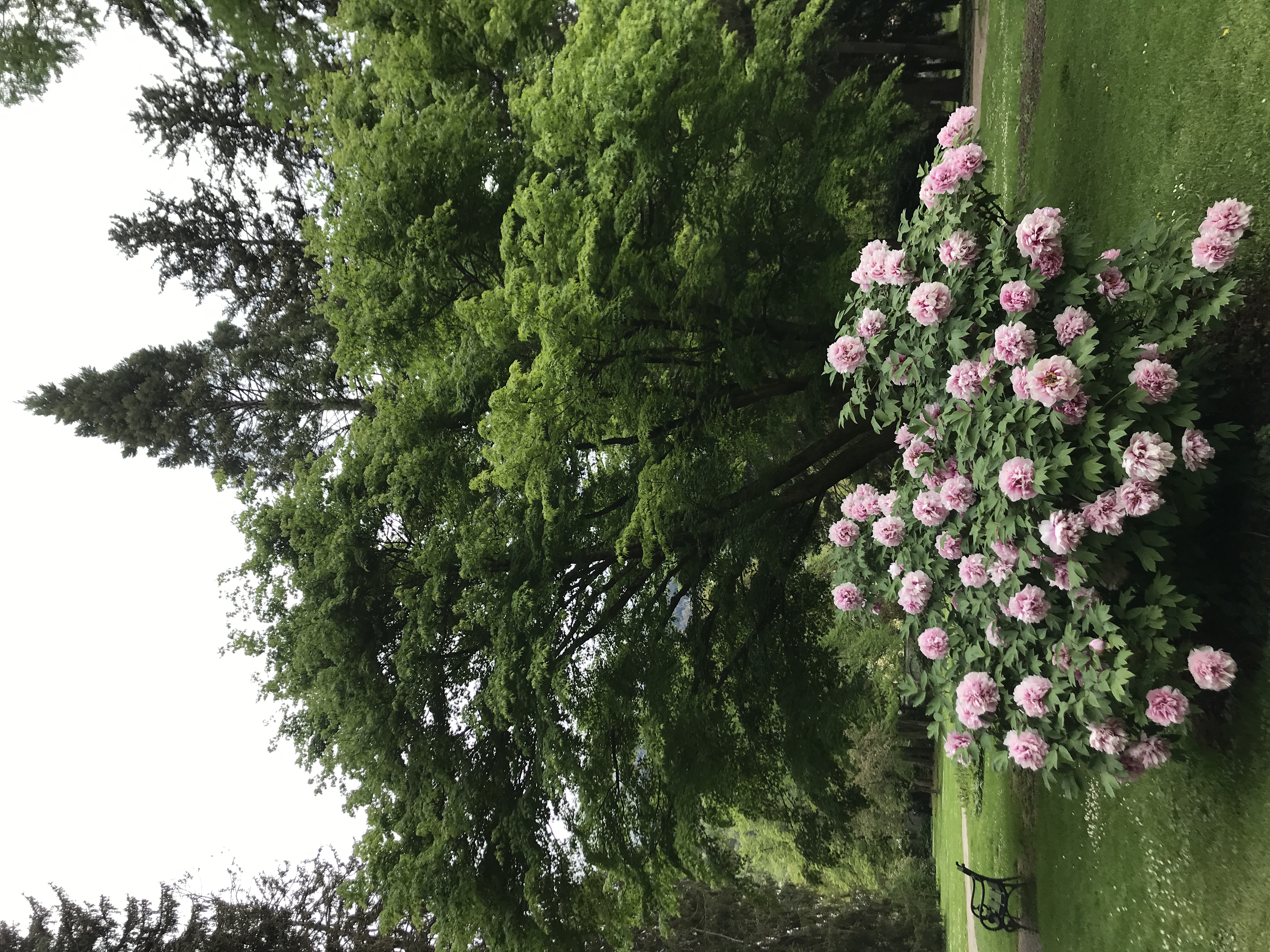 Ncheta onwu Christ: Obi juputara n’ekele