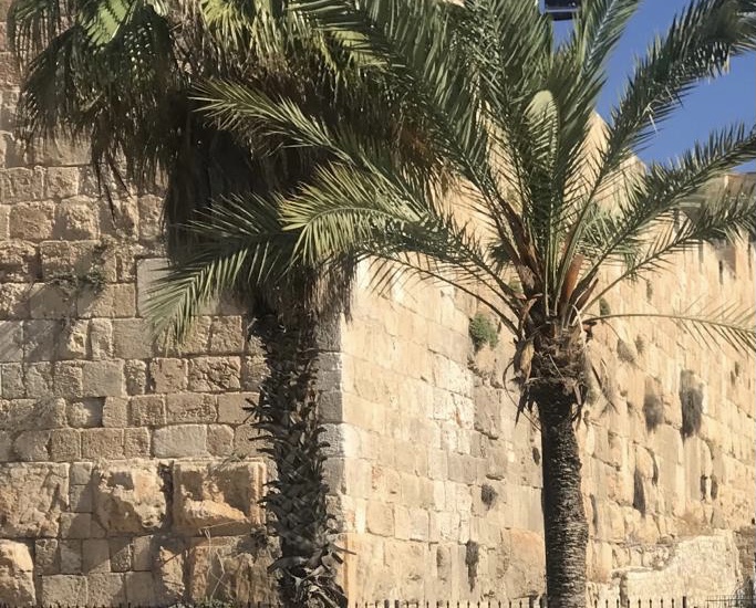 Ncheta Onwu onye Nwe anyi: Nweda ala n'ume nke Christ