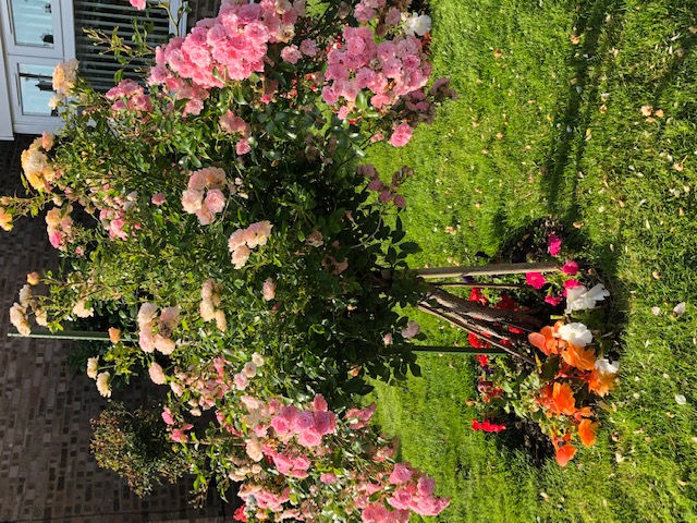 OGBUGBA NDU NKE ANYI NA CHINEKE